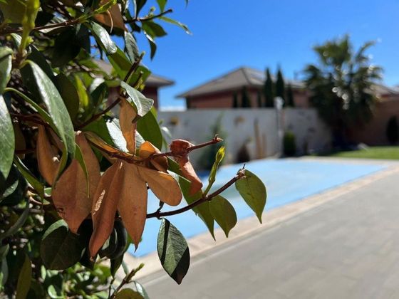 Foto 1 de Xalet en venda a Miramadrid de 4 habitacions amb terrassa i piscina