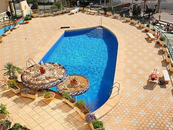 Foto 2 de Pis en lloguer a Playa de Levante de 1 habitació amb piscina i jardí
