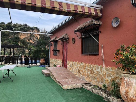 Foto 1 de Xalet en lloguer a Priego de Córdoba de 5 habitacions amb terrassa i piscina