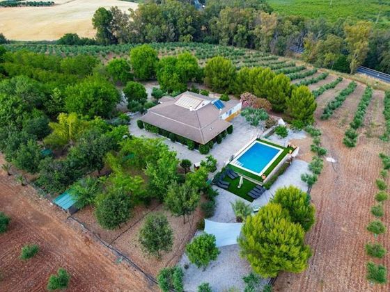 Foto 1 de Casa rural en venda a Bornos de 4 habitacions amb terrassa i piscina
