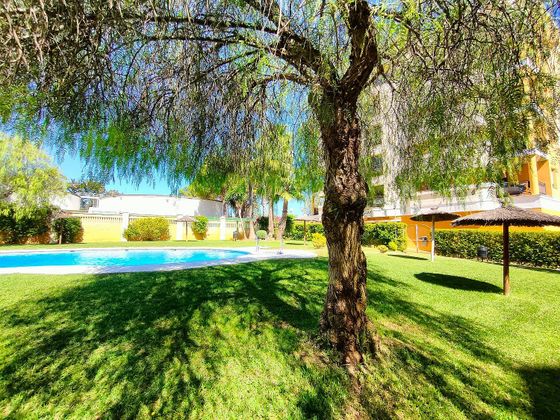 Foto 2 de Piso en venta en Ctra Sanlúcar-Zona Cuatro Pinos de 3 habitaciones con terraza y piscina