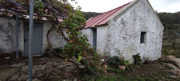 Foto 2 de Casa rural en venda a Tarifa de 4 habitacions amb jardí