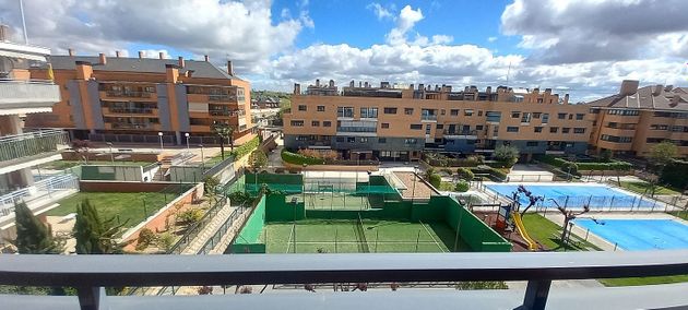Foto 1 de Àtic en lloguer a Prado de Somosaguas de 4 habitacions amb terrassa i piscina