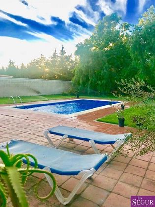 Foto 2 de Casa rural en venda a Medina-Sidonia de 1 habitació amb piscina i jardí