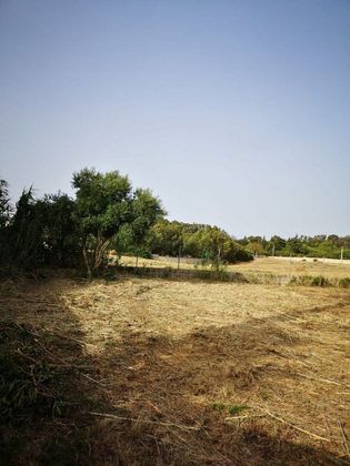 Foto 2 de Venta de terreno en Conil de 1650 m²