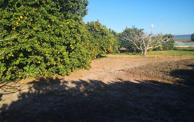 Foto 1 de Venta de terreno en Barbate ciudad de 5313 m²
