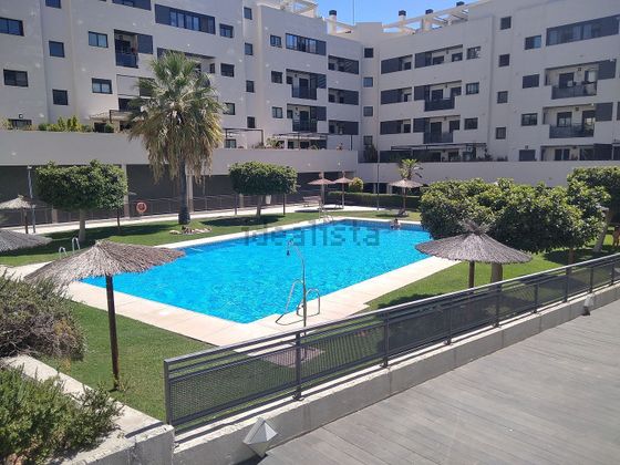 Foto 1 de Piso en alquiler en Ctra Sanlúcar-Zona Cuatro Pinos de 3 habitaciones con terraza y piscina