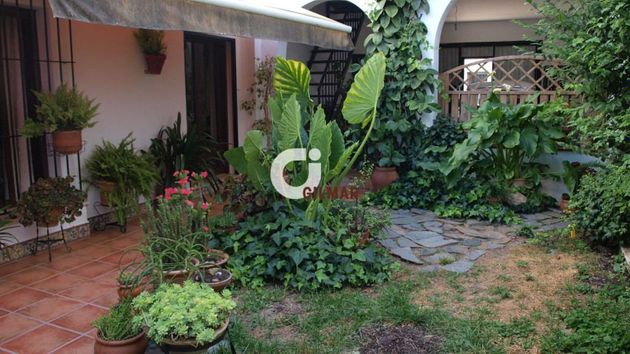 Foto 1 de Casa en venda a Bornos de 4 habitacions amb terrassa i garatge