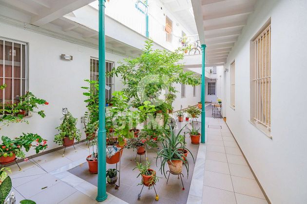 Foto 1 de Pis en venda a La Caleta - La Viña de 2 habitacions amb aire acondicionat