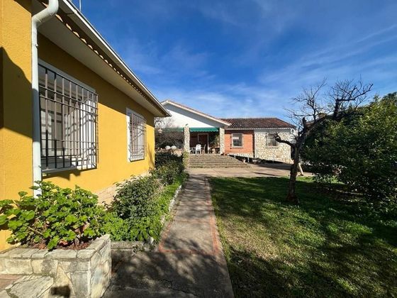 Foto 1 de Casa en venda a El Brillante -El Naranjo - El Tablero de 5 habitacions amb piscina i jardí