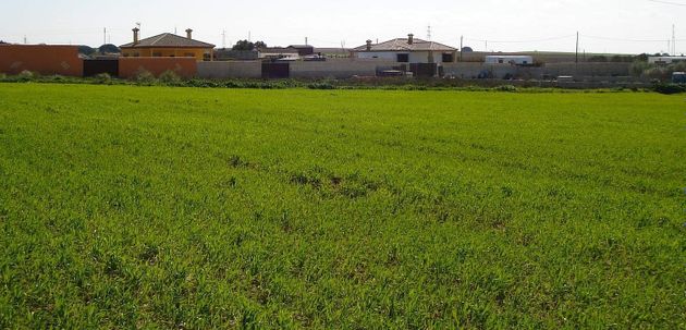 Foto 1 de Venta de terreno en Puerto Real de 3600 m²
