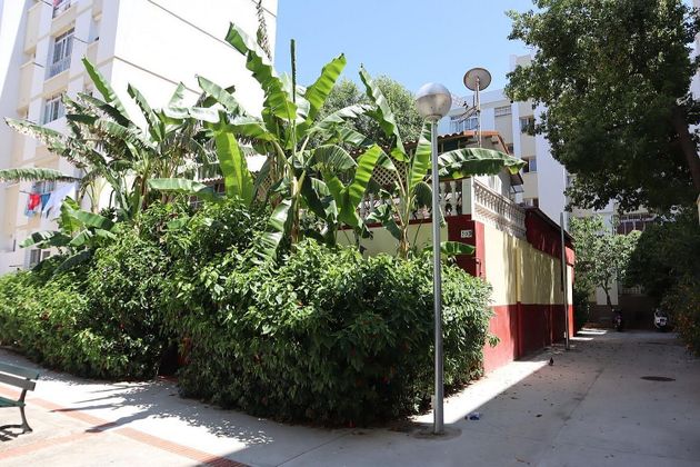 Foto 2 de Casa en venda a La Paz - Segunda Aguada - Loreto de 3 habitacions amb jardí