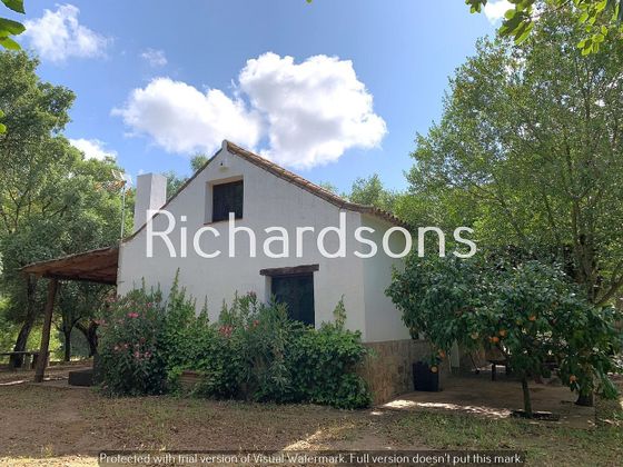 Foto 1 de Casa en venda a Alcalá de los Gazules de 3 habitacions amb terrassa i calefacció