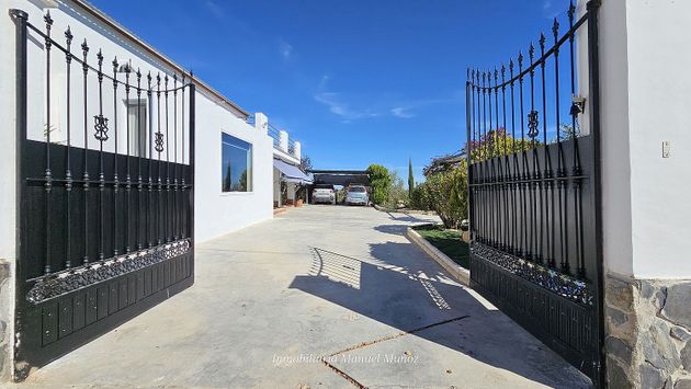 Foto 2 de Xalet en venda a carretera De Los Arenales de 3 habitacions amb terrassa i piscina