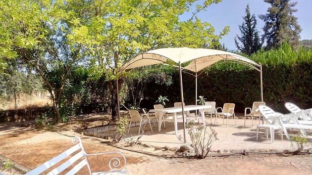 Foto 2 de Venta de chalet en Obejo de 4 habitaciones con terraza y piscina