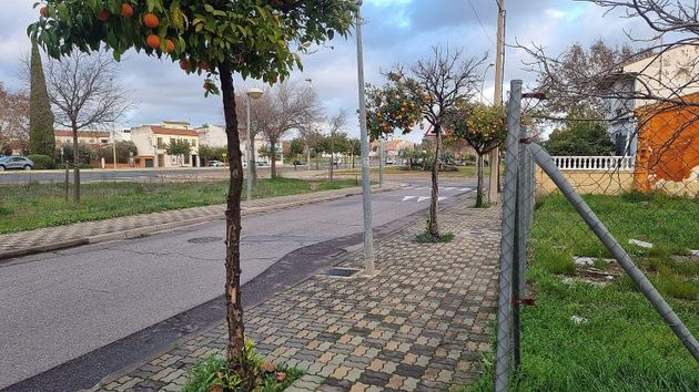 Foto 2 de Venta de terreno en Poniente-Norte - Miralbaida - Parque Azahara de 440 m²