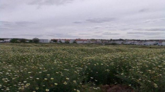 Foto 1 de Venta de terreno en Carrión de los Céspedes de 56440 m²