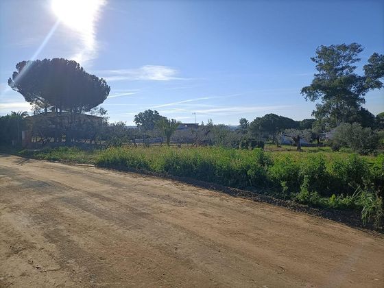 Foto 1 de Venta de terreno en Sanlúcar la Mayor de 2283 m²