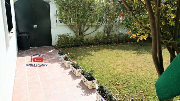 Foto 1 de Casa en venda a El Pino-Bajo de Guía de 4 habitacions amb terrassa i jardí