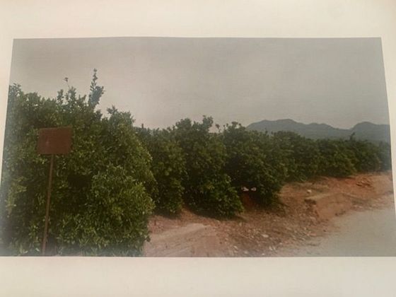 Foto 1 de Terreno en venta en Palma de Gandía de 20843 m²