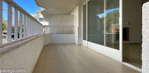 Foto 2 de Pis en venda a Salvador de 1 habitació amb terrassa i piscina