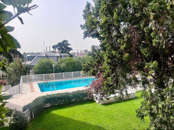 Foto 1 de Pis en lloguer a Bernabéu - Hispanoamérica de 5 habitacions amb terrassa i piscina