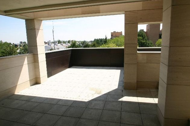 Foto 1 de Alquiler de piso en El Soto de la Moraleja de 3 habitaciones con terraza y piscina
