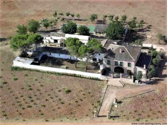 Foto 2 de Casa rural en venda a Piedrabuena de 4 habitacions amb terrassa i piscina
