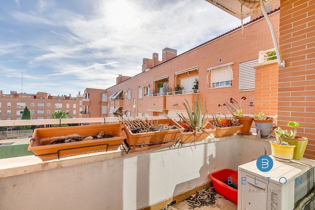 Foto 2 de Venta de piso en Parque Empresarial de 3 habitaciones con terraza y piscina
