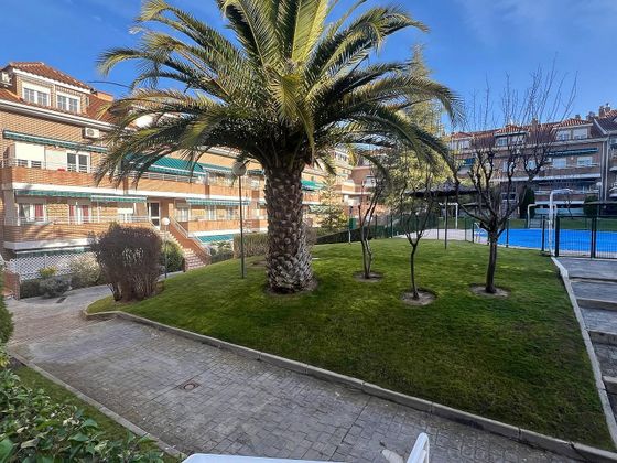 Foto 1 de Piso en alquiler en Sevilla la Nueva de 2 habitaciones con terraza y piscina