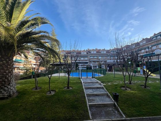 Foto 2 de Pis en lloguer a Sevilla la Nueva de 2 habitacions amb terrassa i piscina