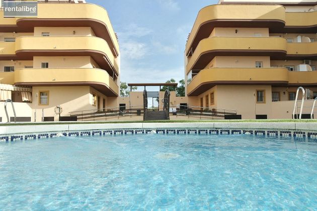 Foto 1 de Pis en venda a V Centenario-Piletas-Capuchinos de 2 habitacions amb terrassa i piscina