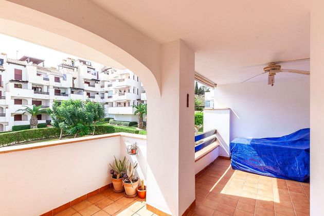 Foto 2 de Pis en lloguer a avenida Ciudad de Alicante de 2 habitacions amb terrassa i piscina
