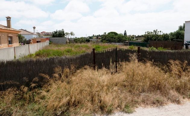 Foto 2 de Venta de terreno en El Juncal - Vallealto de 1000 m²