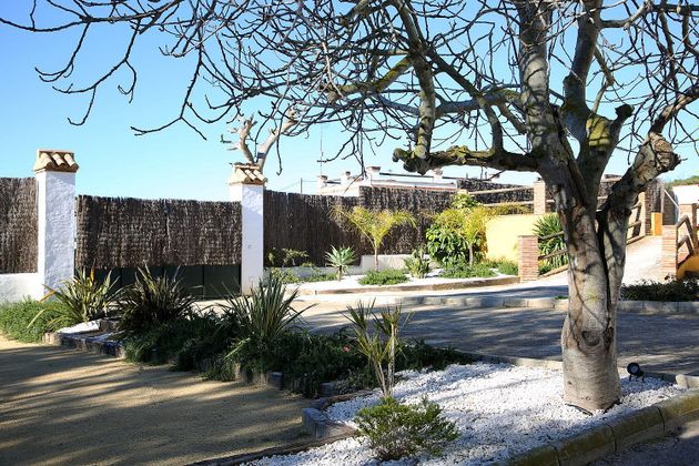 Foto 2 de Xalet en venda a Vejer de la Frontera de 2 habitacions amb terrassa i jardí