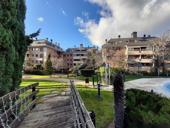Foto 1 de Àtic en lloguer a Zona Monte El Pilar de 4 habitacions amb terrassa i piscina