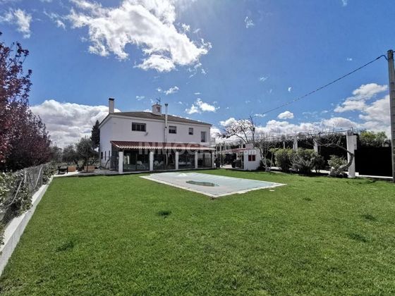 Foto 1 de Casa en venda a Baza de 5 habitacions amb terrassa i piscina