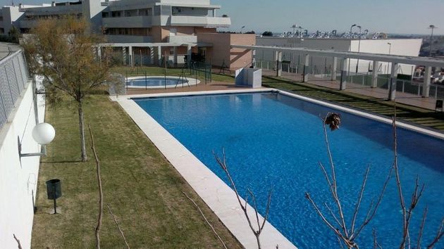 Foto 1 de Piso en alquiler en La Granja-La Colina-Los Pastores de 1 habitación con terraza y piscina