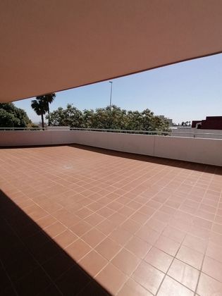 Foto 1 de Piso en alquiler en La Granja-La Colina-Los Pastores de 4 habitaciones con terraza y piscina