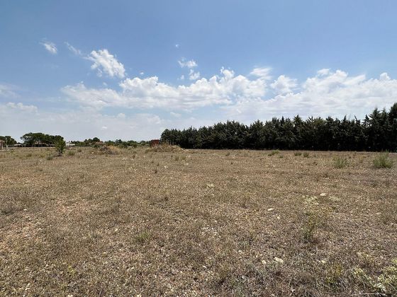 Foto 1 de Venta de terreno en Illana de 3494 m²