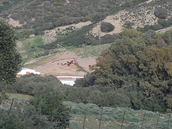 Foto 2 de Venta de terreno en Jimena de la Frontera de 832399 m²