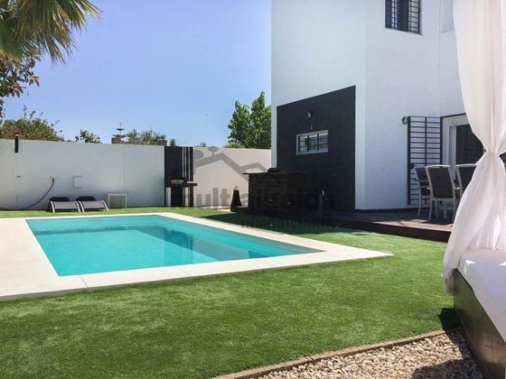 Foto 2 de Venta de casa rural en Monteolivete-Camino Sevilla de 3 habitaciones con terraza y piscina