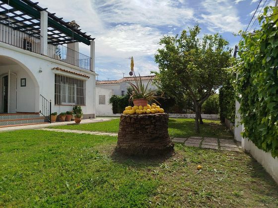Foto 1 de Xalet en venda a La Jara de 5 habitacions amb terrassa i garatge