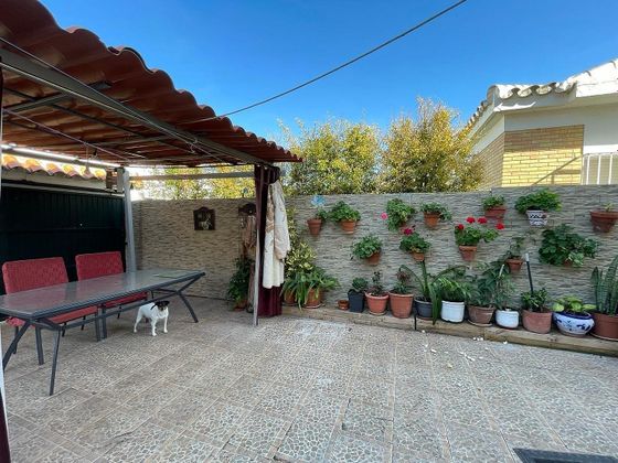 Foto 1 de Àtic en venda a Crevillet - Pinar Alto de 3 habitacions amb terrassa i jardí