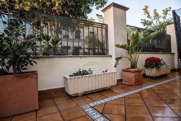 Foto 2 de Casa en venda a calle Granado de 3 habitacions amb terrassa i piscina