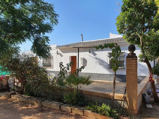 Foto 2 de Casa rural en venda a Puente Genil de 6 habitacions amb piscina i jardí
