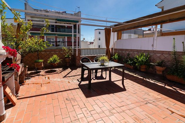 Foto 1 de Venta de casa en Santa Rosa - Valdeolleros de 4 habitaciones con terraza y garaje