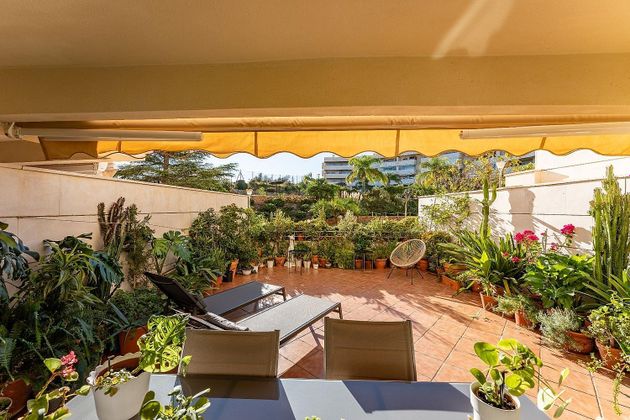 Foto 1 de Piso en venta en El Mayorazgo - El Limonar de 2 habitaciones con terraza y piscina
