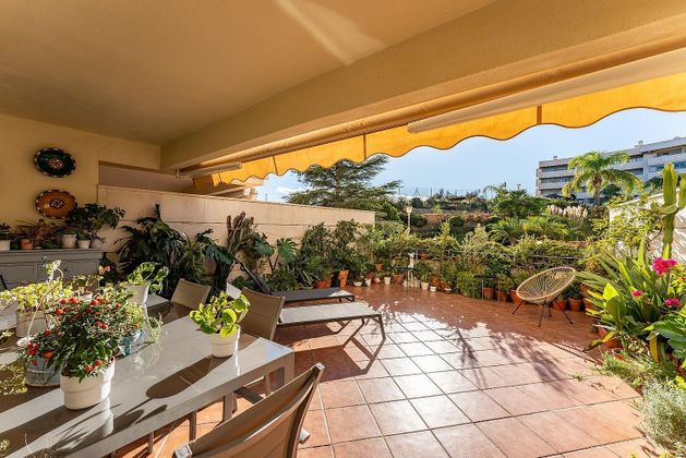 Foto 2 de Pis en venda a El Mayorazgo - El Limonar de 2 habitacions amb terrassa i piscina