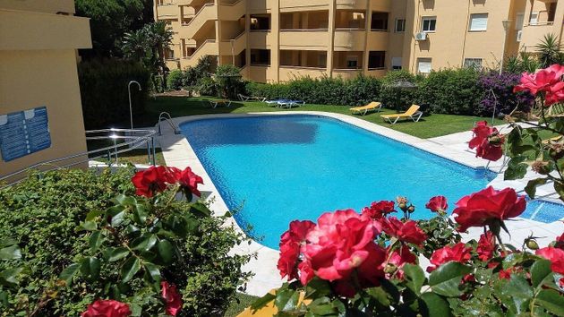Foto 1 de Pis en venda a calle Alimoche de 2 habitacions amb terrassa i piscina